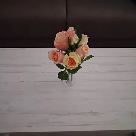 Casa Belén Apartman Arévalo