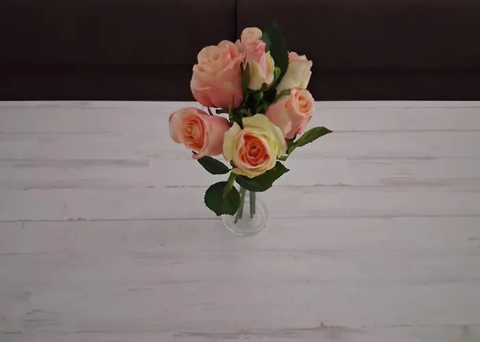 Casa Belén Apartamento Arévalo